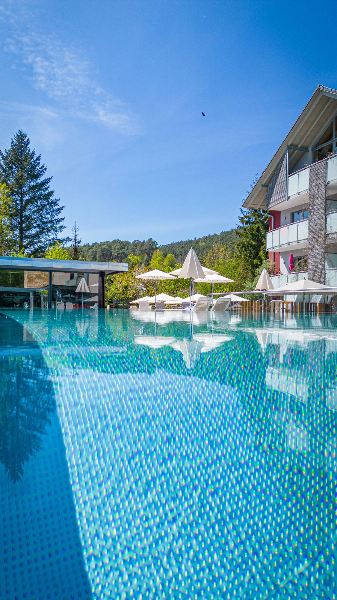 Aussenpool Hotel Felsenland Dahn